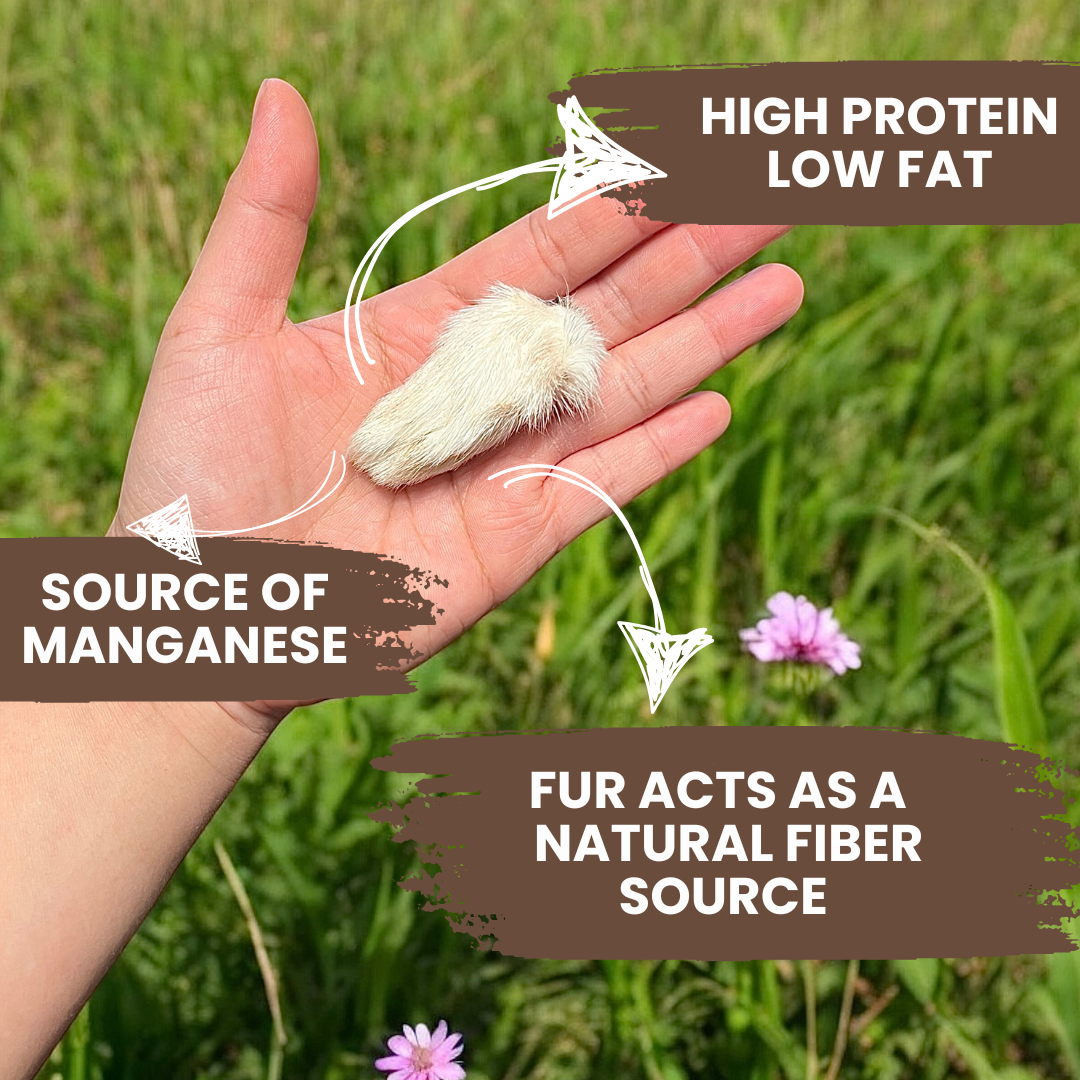 Air Dried Rabbit Front Feet